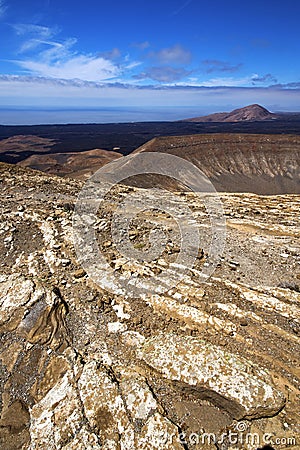 Timanfaya in los volcanes volcanic spain plant flower bush Stock Photo