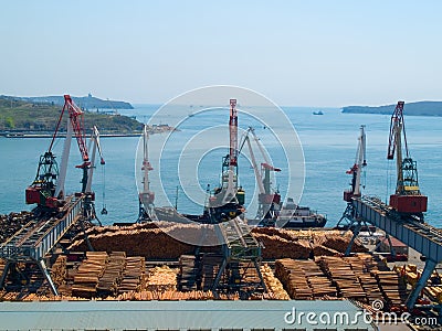 timber export at cargo port Stock Photo