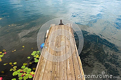 Gangplank to the lake. Wooden gangplake with water lilies on water, Lake Canada, USA Stock Photo