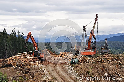 Timber hauler Stock Photo