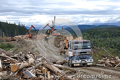 Timber hauler Editorial Stock Photo