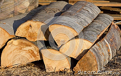 Timber logs Stock Photo