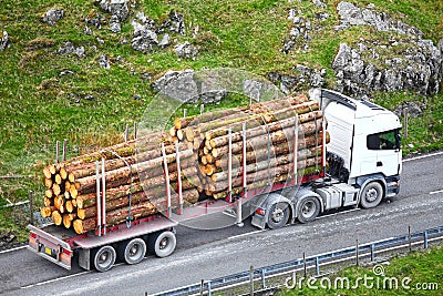 Timber logs on truck trailer Stock Photo