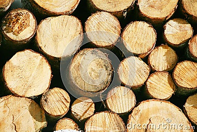 Timber lumber balk beam short Stock Photo