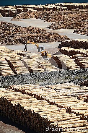 Timber manufacturer in Marlborough area, New Zealand. Stock Photo