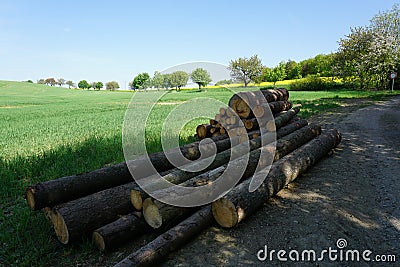 TImber stock in countryside, meadows, sawlog, spring landscape Stock Photo