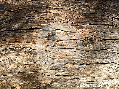 Timber texture 04 Stock Photo