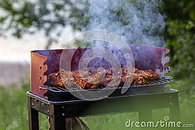 Time for barbecue. Delicious chicken meat and smoke Stock Photo