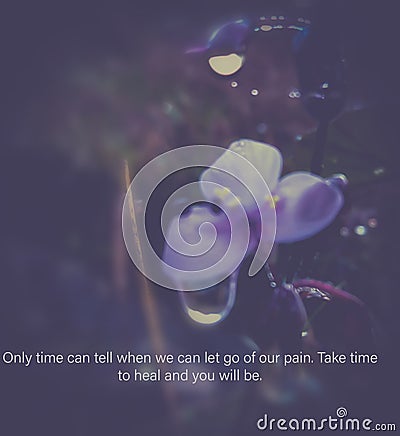 Only time can truly heal us. Stock Photo