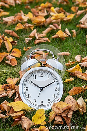 Time change, classic white alarm clock outside on grass and moss with fall color in many yellow birch leaves Stock Photo