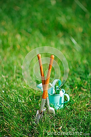 time for garden nowÃ¢â‚¬Â¦. decorative small gardening tools and snowdrops on grass Stock Photo