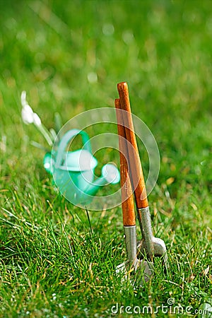 time for garden nowÃ¢â‚¬Â¦. decorative small gardening tools and snowdrops on grass Stock Photo