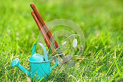 time for garden nowÃ¢â‚¬Â¦. decorative small gardening tools and snowdrops on grass Stock Photo