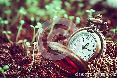 Time goes by Stock Photo