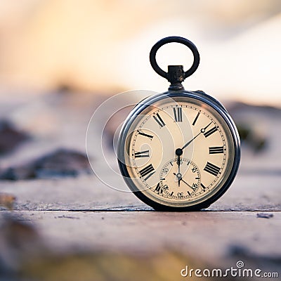 Time goes by: vintage watch outdoors; wood and leaves Stock Photo