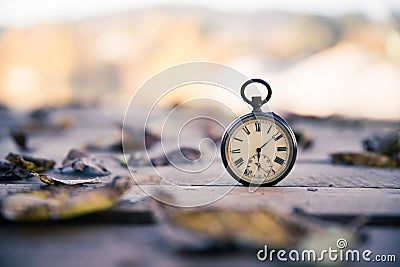 Time goes by: vintage watch outdoors; wood and leaves Stock Photo