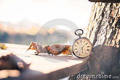 Time goes by: vintage watch outdoors; wood and leaves Stock Photo