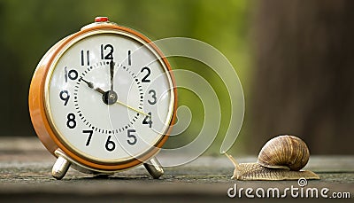 Time management concept, clock and slow snail Stock Photo