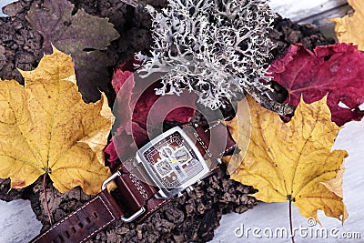 Time Season Leaves Watch Lichen Present Future Past Local Zone Date Hour Second Minute Leaves Colors Clock Wait Schedule Design Fa Stock Photo