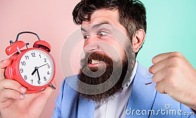 Time to work. Man bearded aggressive businessman hold clock. Stress concept. Hipster stressful working schedule Stock Photo