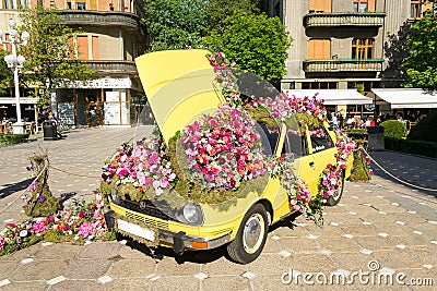 Timfloralis - Flowers Festival, Timisoara, Romania Editorial Stock Photo