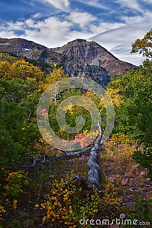 Timpanogos back panoramic views, Willow Hollow Ridge, Pine Hollow Trail hiking trail Wasatch Rocky Mountains, Utah. USA Stock Photo