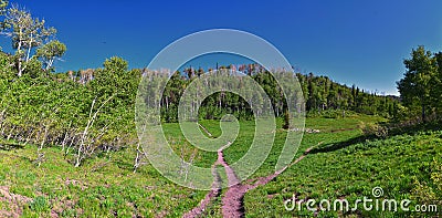 Timpanogos back Primrose overlook Horse Spring hiking trail views Wasatch Rocky Mountains, Utah. Stock Photo