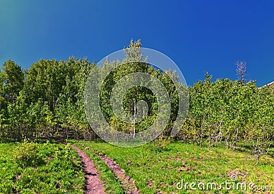 Timpanogos back Primrose overlook Horse Spring hiking trail views Wasatch Rocky Mountains, Utah. Stock Photo