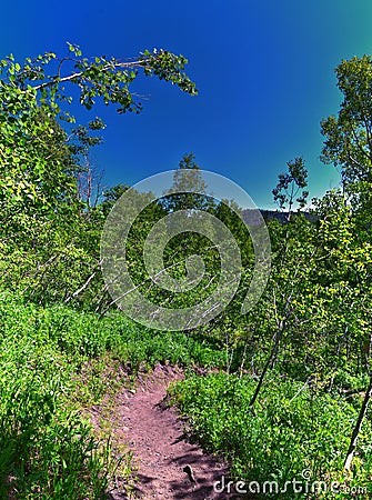 Timpanogos back Primrose overlook Horse Spring hiking trail views Wasatch Rocky Mountains, Utah. Stock Photo