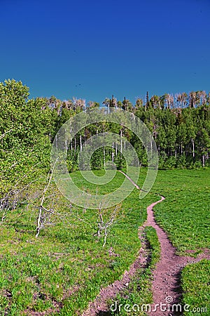 Timpanogos back Primrose overlook Horse Spring hiking trail views Wasatch Rocky Mountains, Utah. Stock Photo