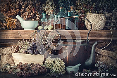 Tincture bottles, healthy herbs, mortar, curative drugs, old tea kettle on wooden shelf. Stock Photo