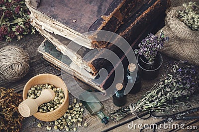 Tincture bottles, assortment of dry healthy herbs, old books, mo Stock Photo