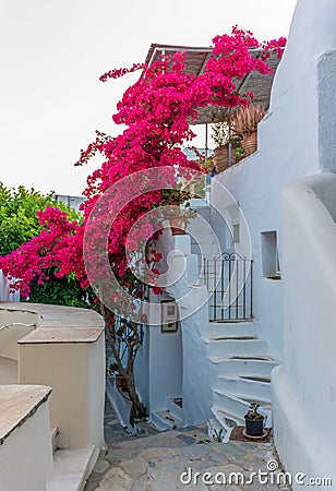 Isternia Tinos island Greece. Stock Photo