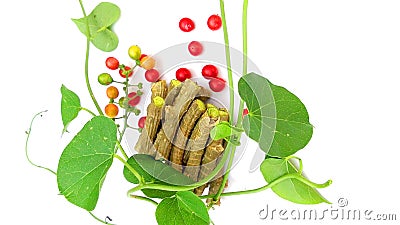 Tinospora cordifolia amritavalli fruits close up Stock Photo