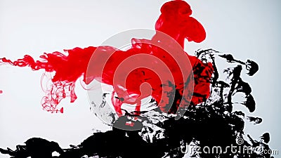 Tinta roja y negra en agua Cámara lenta creativa En un blanco Tinta roja y negra en agua Cámara lenta creativa En un blanco