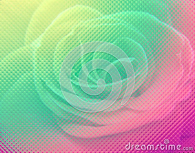 Tinted rose for background and design Stock Photo