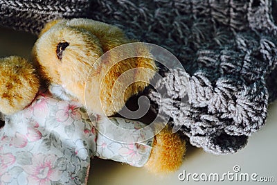 Tiny bear Stock Photo