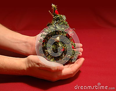 Tiny Christmas tree Stock Photo