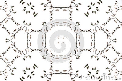 Tiny dainty dandelion floral detail symmetrical square design Stock Photo