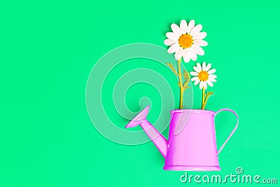 Tiny Daisies in a Miniature Watering Can on Green Stock Photo