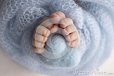 The tiny foot of a newborn baby. Close up of toes, heels and feet of a newborn. Knitted blue heart in the legs of a baby Stock Photo