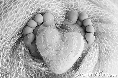 The tiny foot of a newborn baby. Soft feet, Knitted heart in the legs of baby. Stock Photo