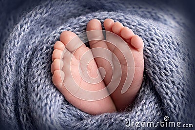 The tiny foot of a newborn. Soft feet of a newborn in a blue woollen blanket. Stock Photo