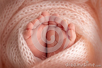 The tiny foot of a newborn. Soft feet of a newborn in a pink woolen blanket. Stock Photo