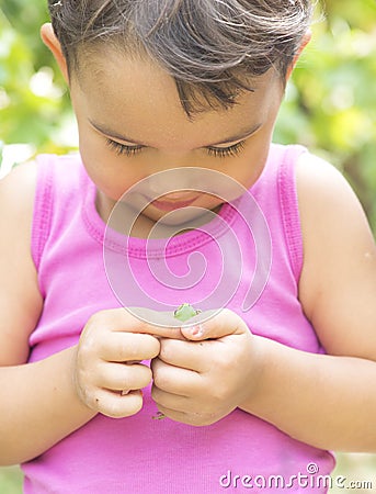 Tiny frog on little girl hands Stock Photo