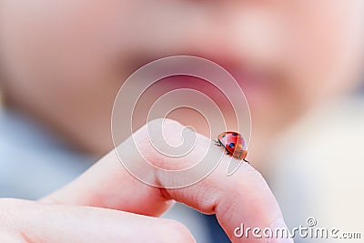 Tiny ladybug on child finger Stock Photo