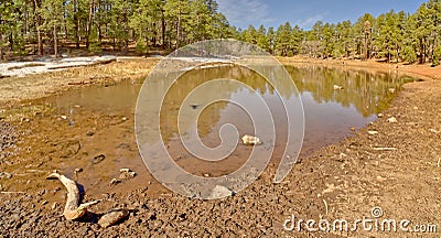 Mingus Lake Arizona Stock Photo