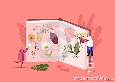Tiny Male and Female Characters Stand on Ladder at Huge Book for Collecting Herbarium. People Learning Floral Elements Vector Illustration