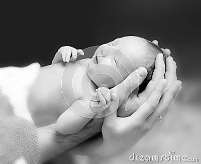 Newborn baby boy on the father`s and mother`s hand. Stock Photo