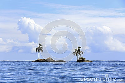 Tiny Palm Tree Islets Stock Photo